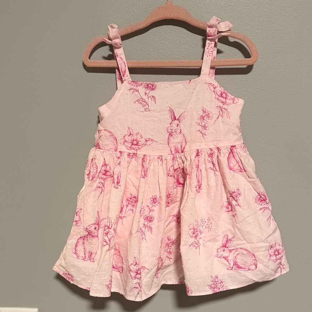 Janie and Jack Light Pink Dress with Bunny Print (Easter Dress)